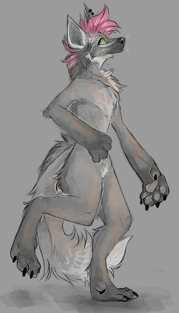 Thicketmorr Thicketmorr